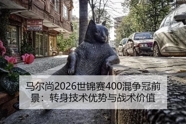 ma-er-shang-shi-jin-sai-hun-zheng-guan-qian-jing-zhuan-shen-ji-shu-you-shi-yu-zhan-shu-jia-zhi-3-495.jpg